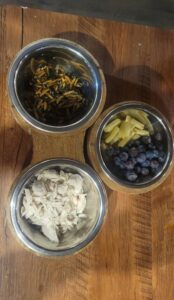 Bols de manger spécialisé pour fennecs, avec notamment de la viande blanche de poulet, des bleuets, des ténébrions meuniers et des fèves jaunes.