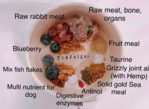 Bol de manger destiné aux fennecs, avec quelques titres écrits en anglais. Les voici traduits: "Viande de lapin crue", "Viande crue, os, organes", "bleuets", "farine de fruit" ou "repas de fruits" (fruit meal), "Taurine", "Mélange de flocons de poisson", "Joint de grizzly[...] (avec du chamvre)", "Suppléments Solid Gold Seameal", "Multi-nutriments pour chiens", "Antinol", "Enzymes digestives"