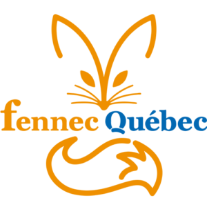 Accueil Intro