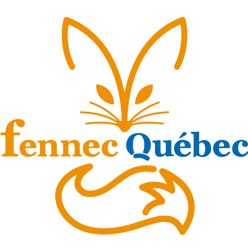 Fennec Quebec